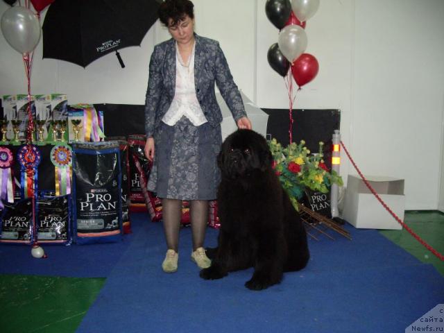 Фотография № 39424