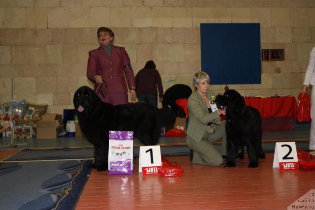 Фотография № 39438