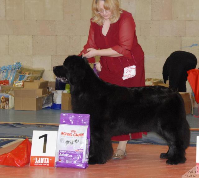 Фотография № 39440