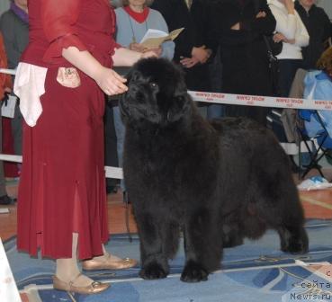 Фотография № 39446