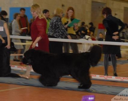 Фотография № 39447