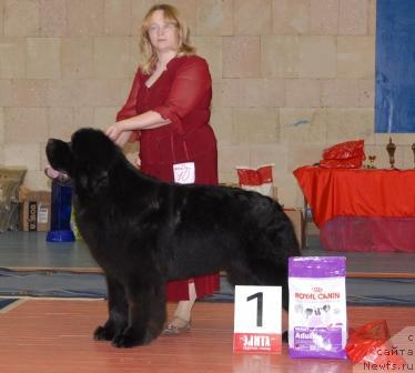 Фотография № 39448