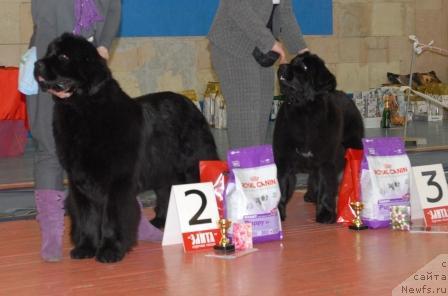 Фотография № 39449