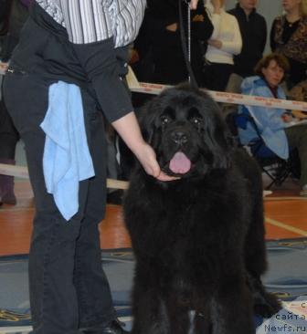 Фотография № 39450