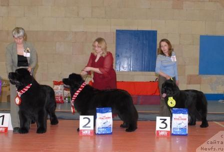 Фотография № 39452