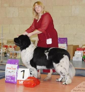 Фотография № 39453