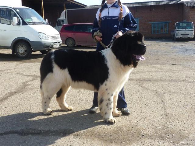 Фотография № 39457