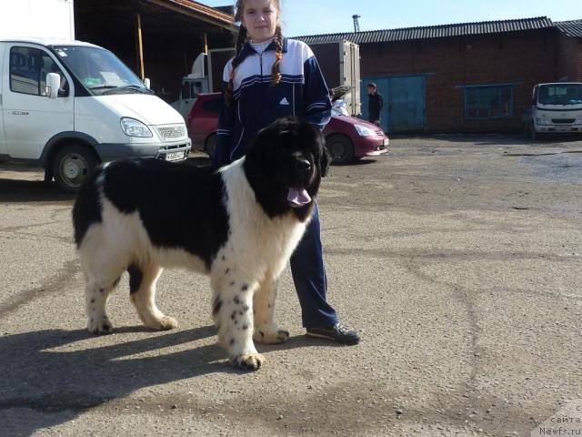 Фотография № 39460