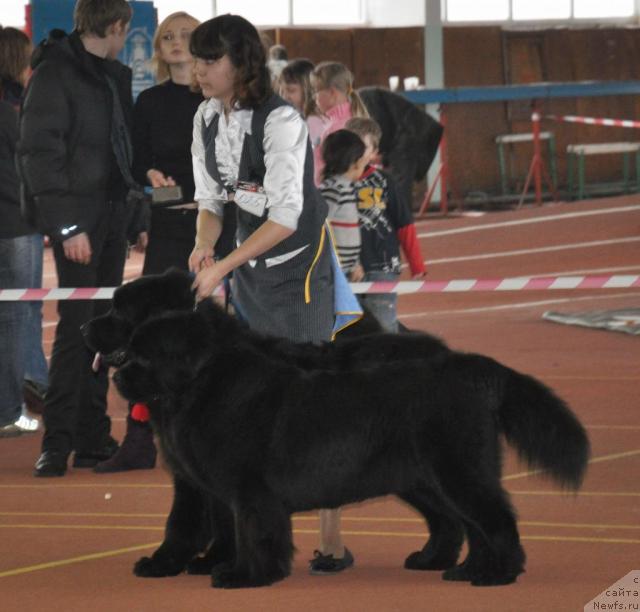 Фотография № 39474