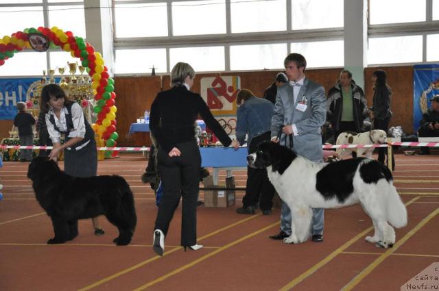 Фотография № 39475