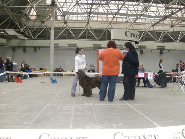 Фотография № 39476