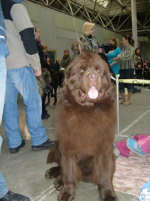 Фотография № 39477