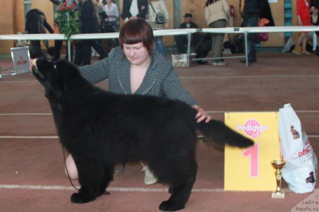 Фотография № 39494