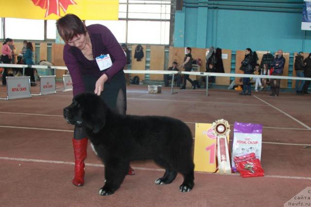 Фотография № 39496