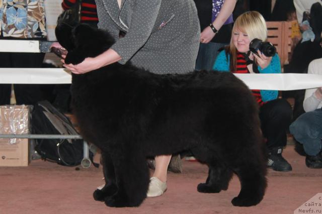 Фотография № 39497