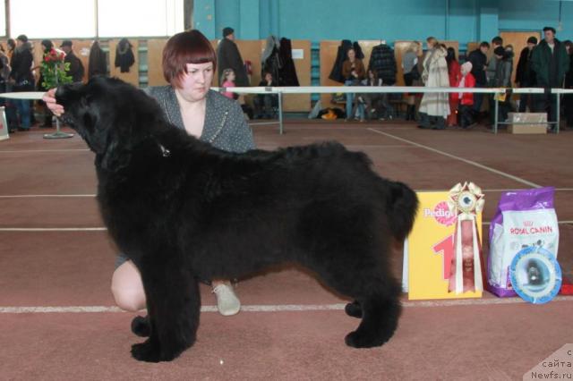 Фотография № 39498