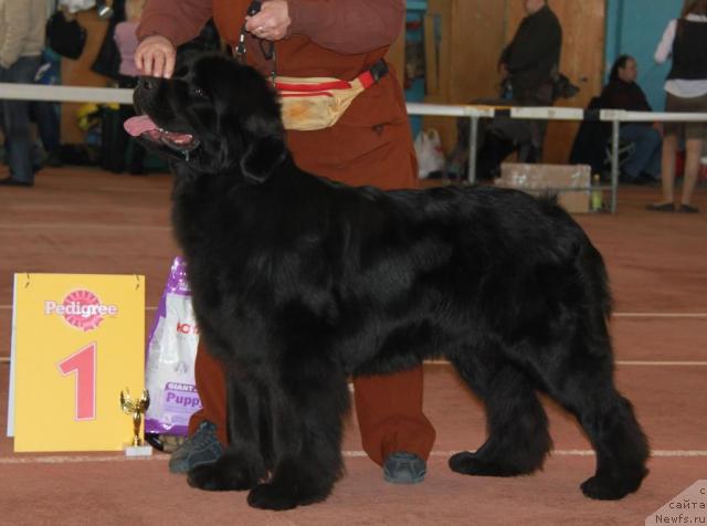 Фотография № 39518