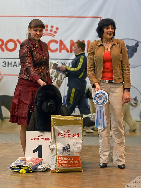 Фотография № 39539