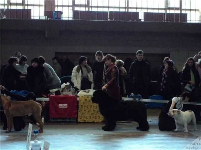 Фотография № 39540