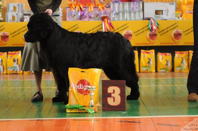 Фотография № 39548