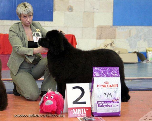 Фотография № 39550