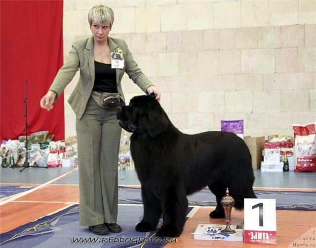 Фотография № 39551