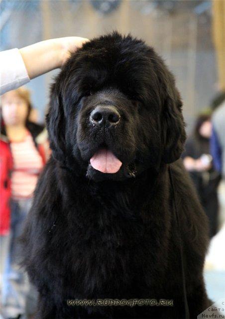 Фотография № 39552