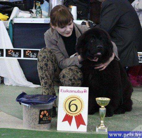 Фотография № 39602