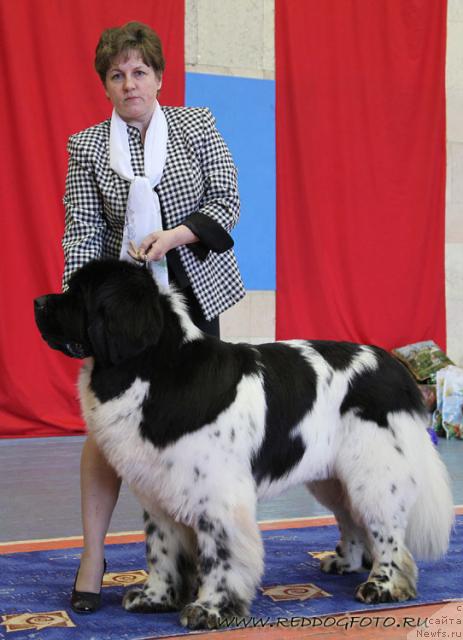 Фотография № 39629