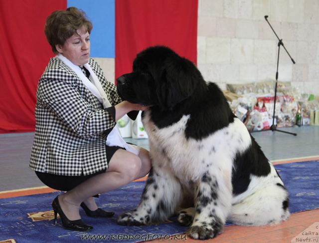 Фотография № 39630