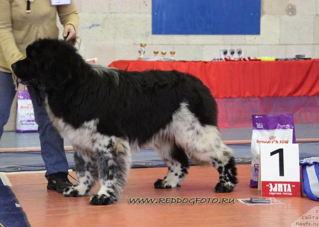 Фотография № 39631