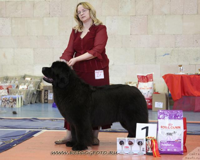 Фотография № 39633