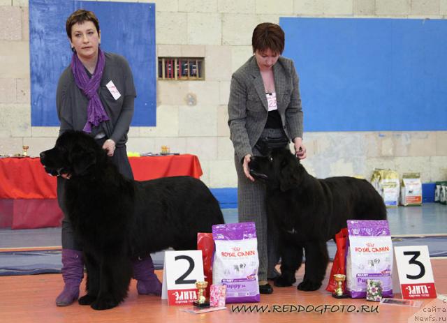 Фотография № 39644