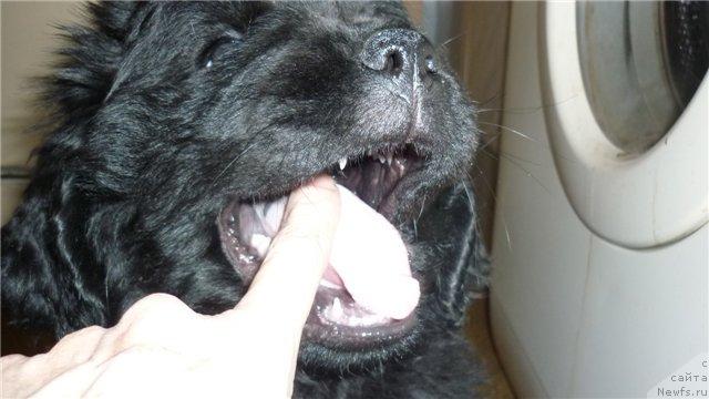 Фотография № 39677