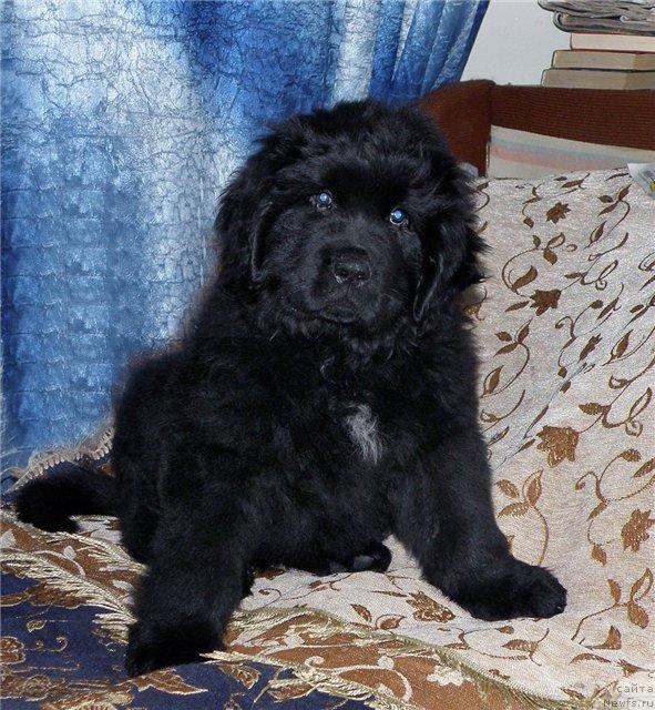 Фотография № 39680