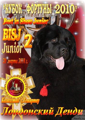 Фотография № 39783