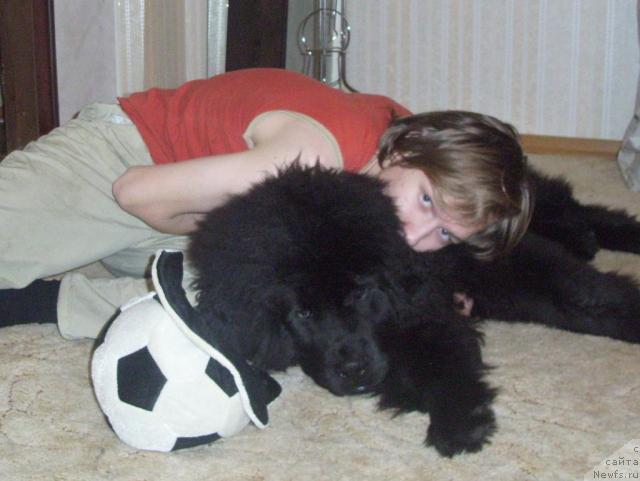 Фото: [d9019]-Нельсон