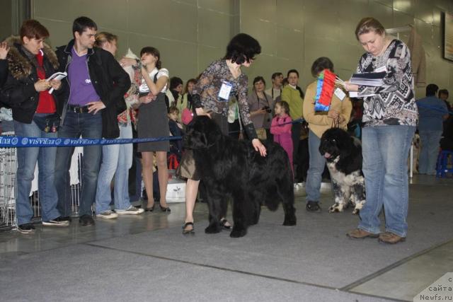 Фотография № 39793