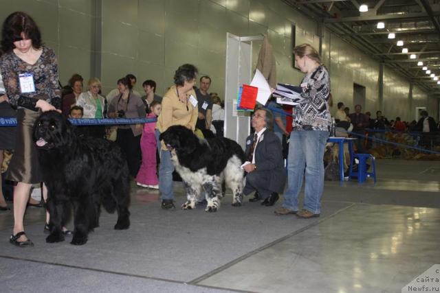 Фотография № 39794