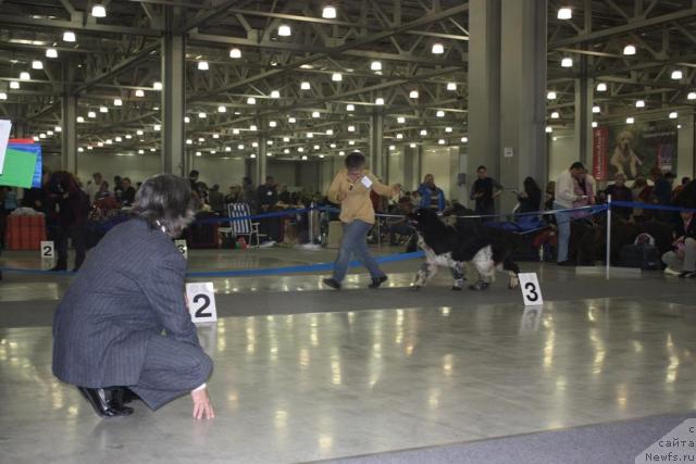 Фотография № 39796