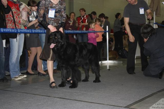 Фотография № 39800