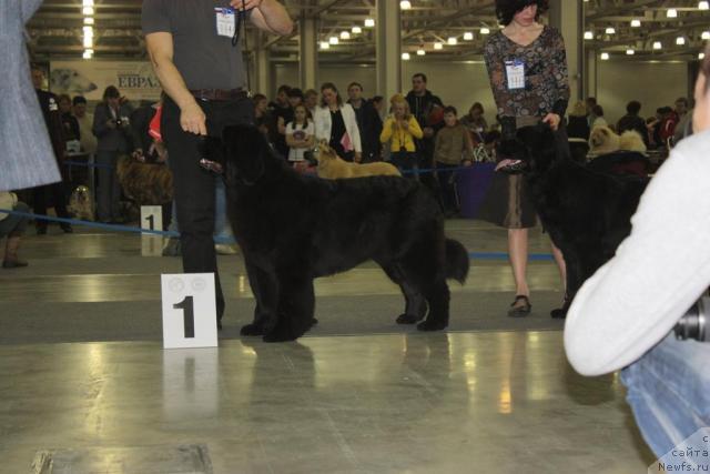 Фотография № 39804