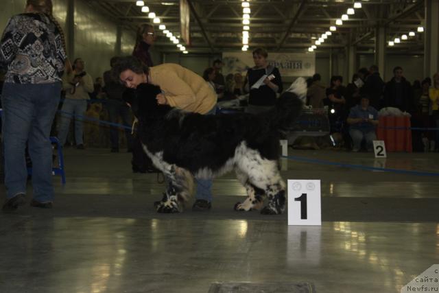 Фотография № 39805