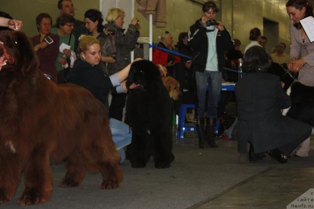 Фотография № 39808