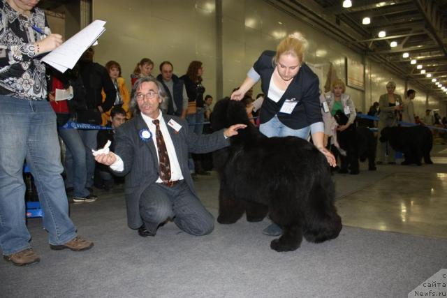 Фотография № 39810