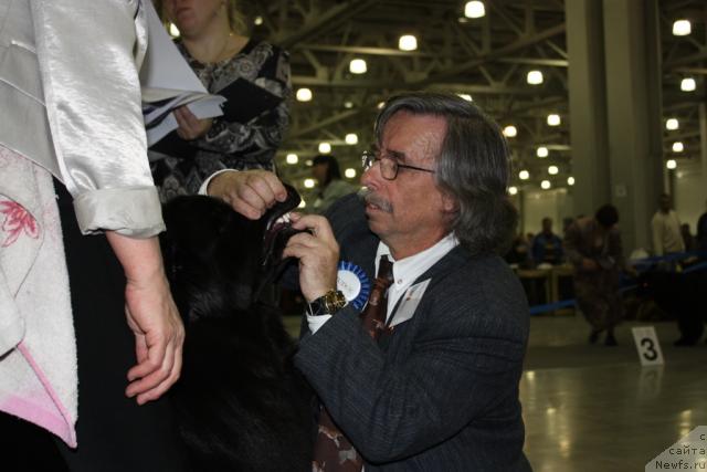 Фотография № 39814