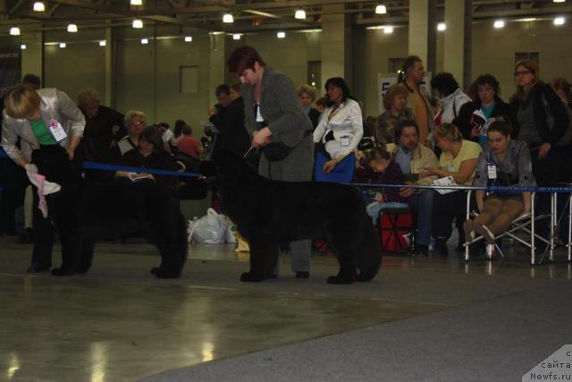 Фотография № 39816