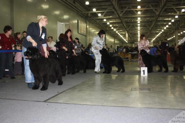 Фотография № 39817