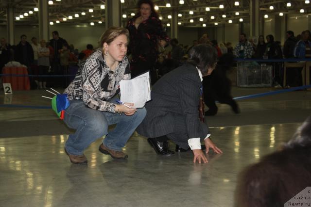 Фотография № 39818