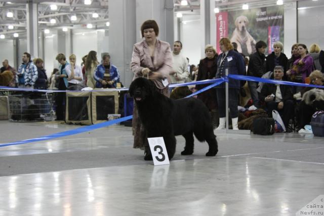 Фотография № 39819